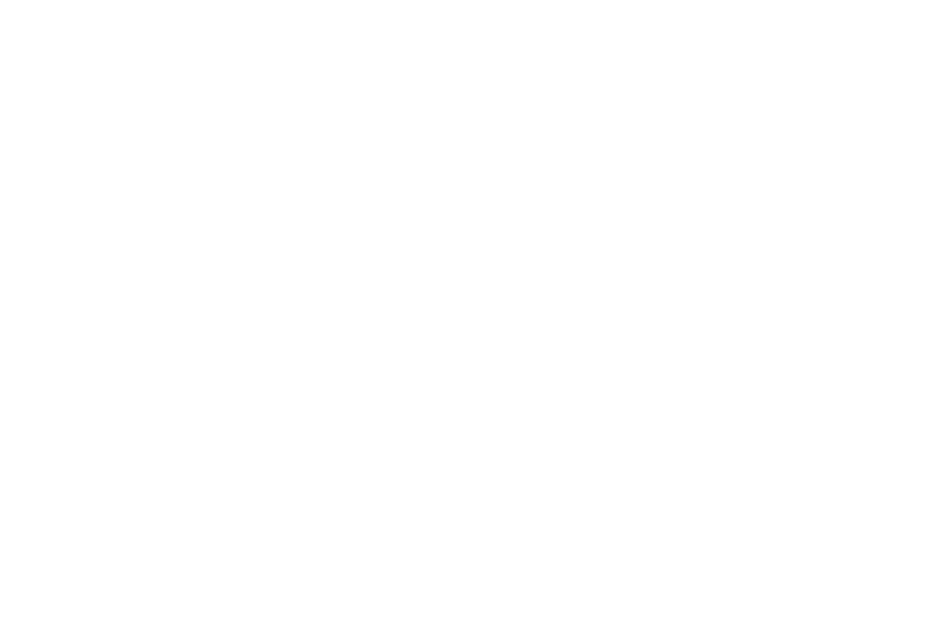 Brewmeister