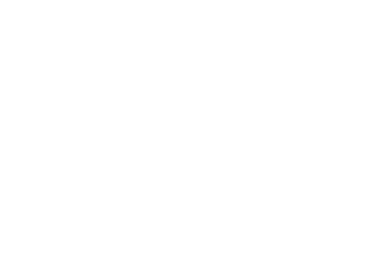 Don Julio