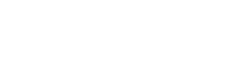 Maestro Dobel