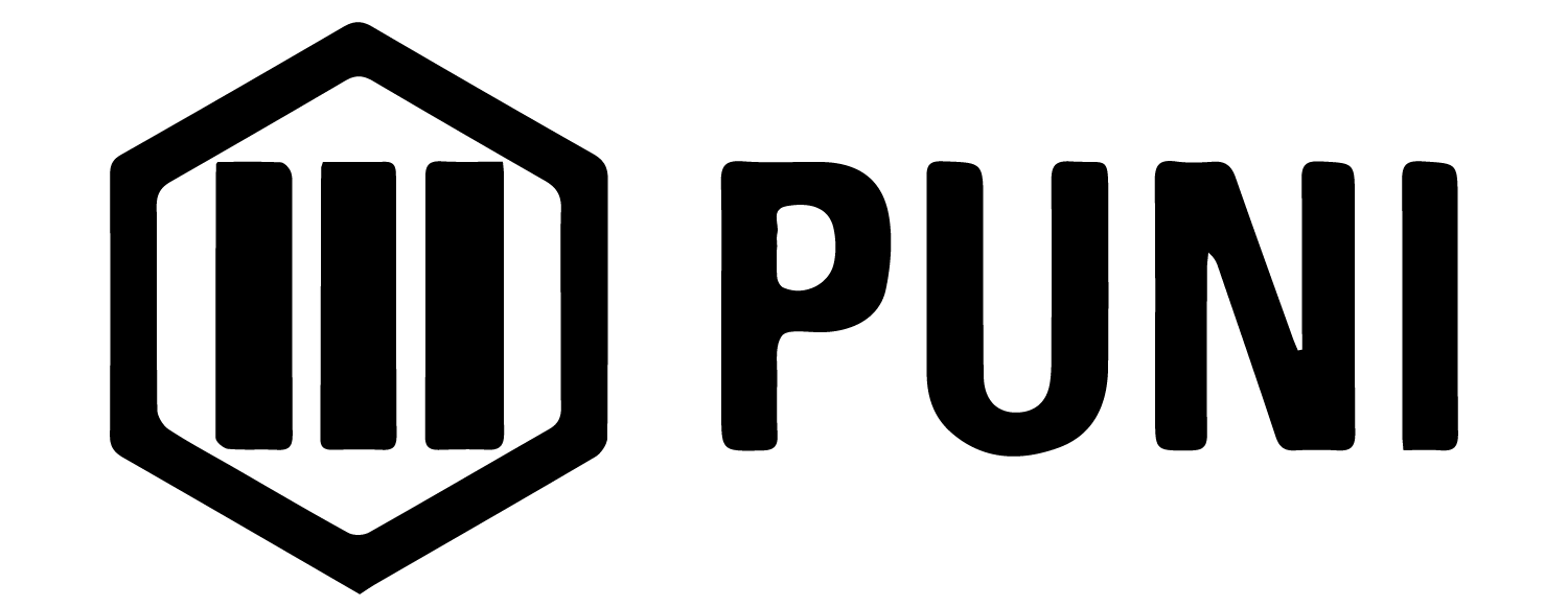 Puni