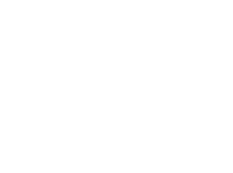 Tosolini 
