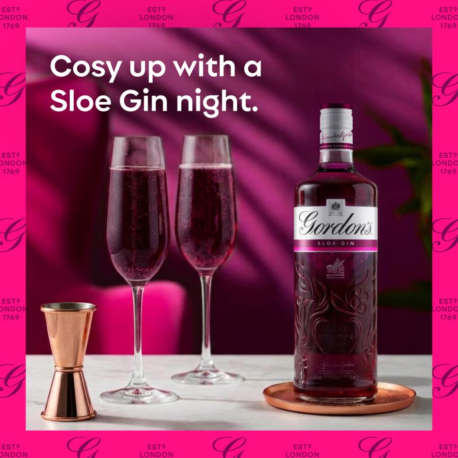 Gordons - Sloe Gin 70cl 26% ABV | Hard To Find Whisky | HTFW