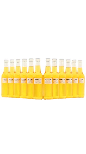 NOAM - Premium Lager (12 x 340ml)